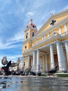 pigeons on pavement in front of cathedral in granada nicaragua